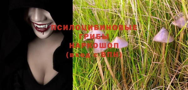 молекула духа Аркадак