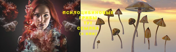молекула духа Аркадак