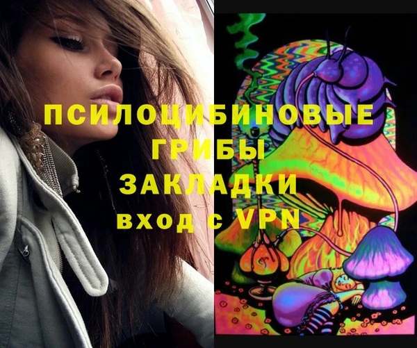 mdpv Арсеньев