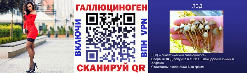 Галлюциногенные грибы Psilocybine cubensis  Бугуруслан 
